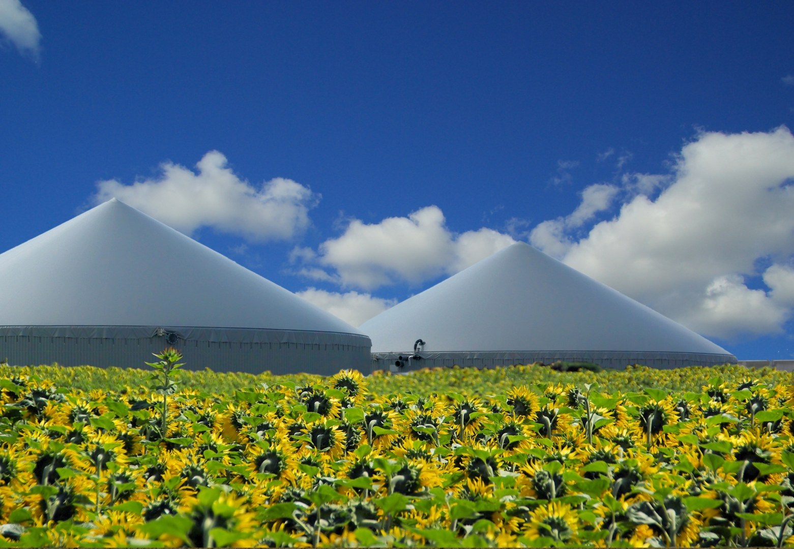 Föreståndare biogas anläggning under 0,5 bar